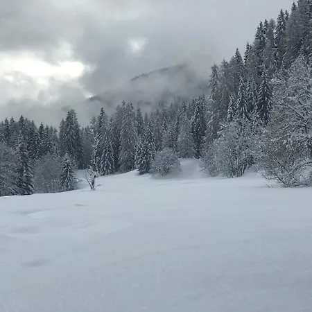 Mezzodi アパート Mareson Pecol